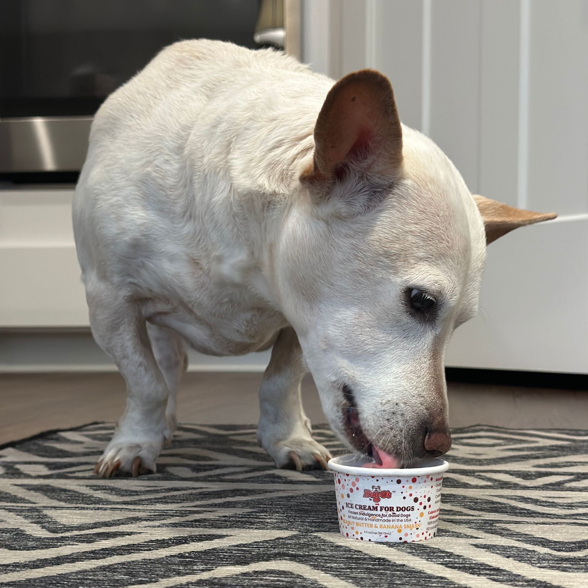 Original Flavor, Ice Cream for Dogs